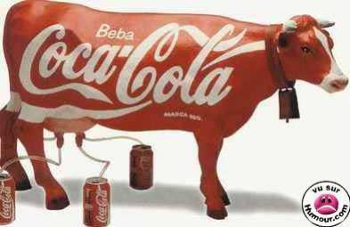 dima coca cola